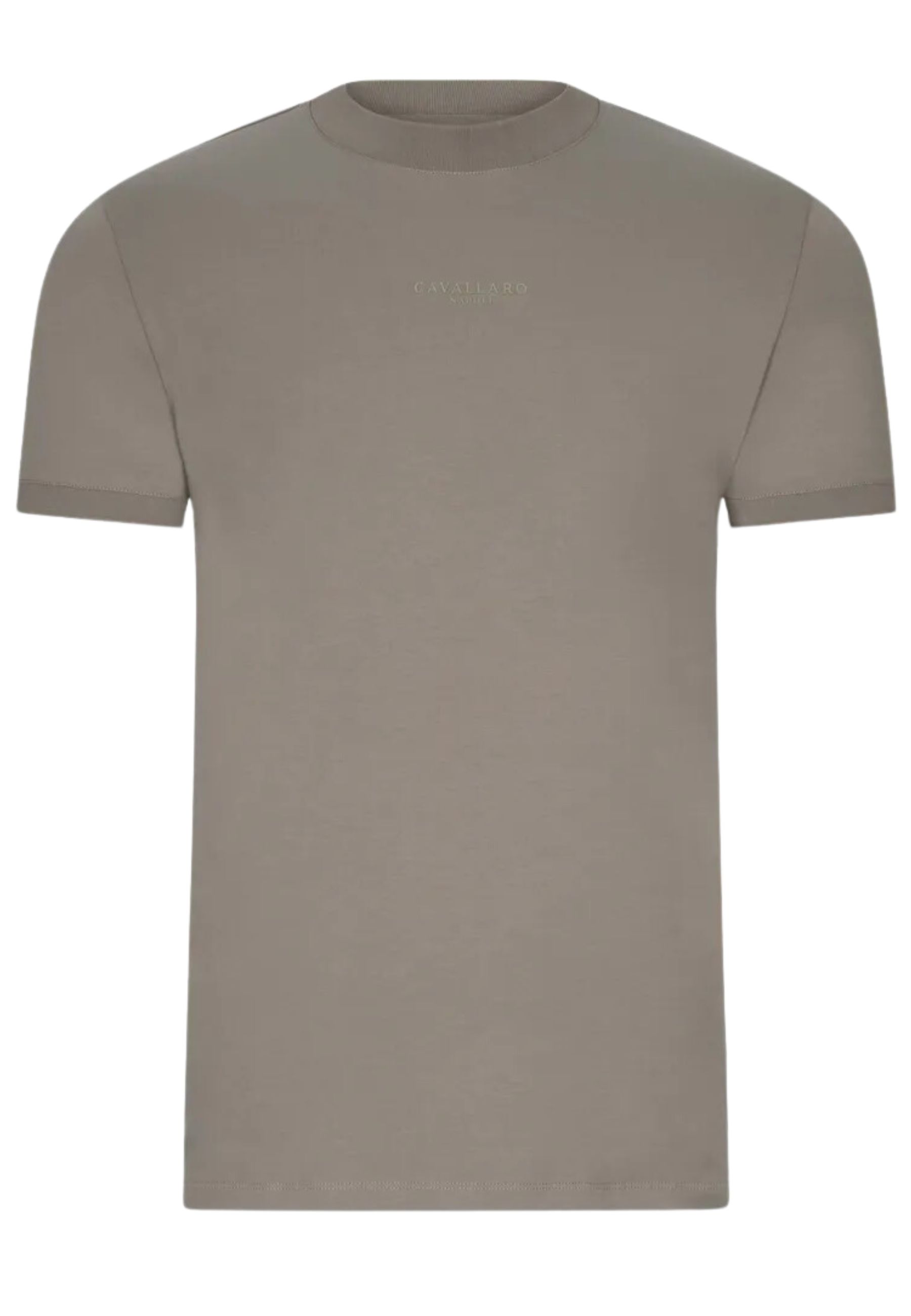 Shirt Lichtgroen Darenio t-shirts lichtgroen