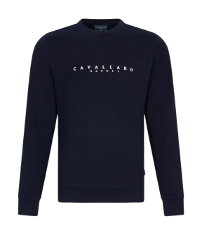 Cavallaro  Sweaters Blauw Cavezzio 120245000