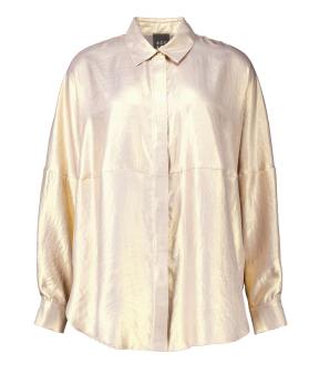 Access  Blouses Goud 53-7016-922